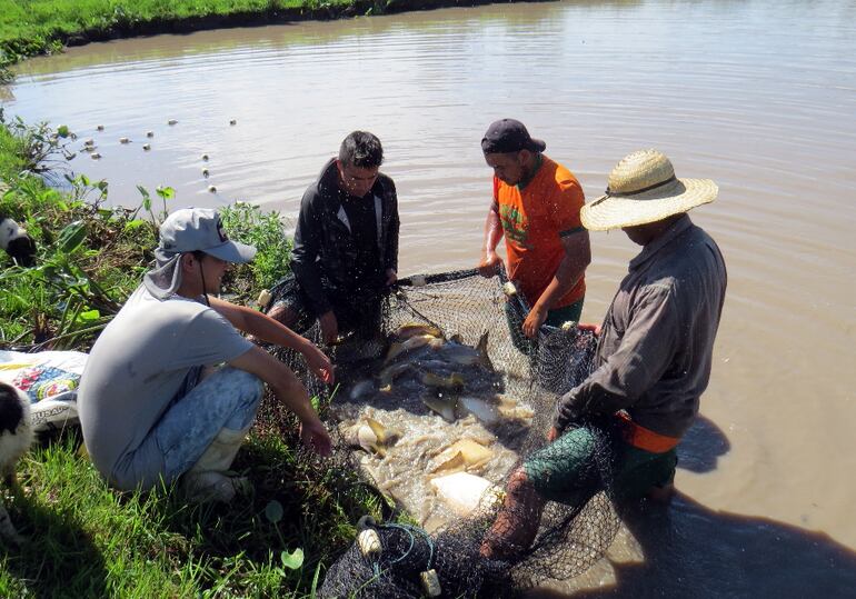 Si el objetivo es brindar seguridad alimentaria a la familia rural, igualmente es necesario contar con una planificación.