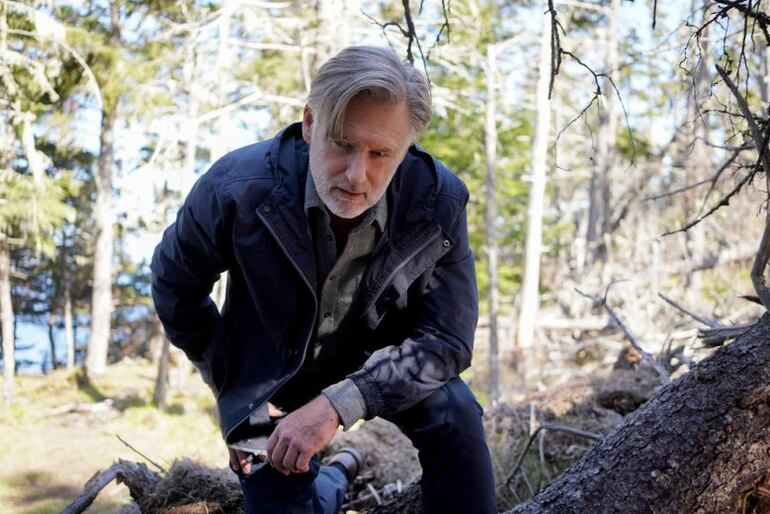 The Sinner temporada 4 serie Bill Pullman