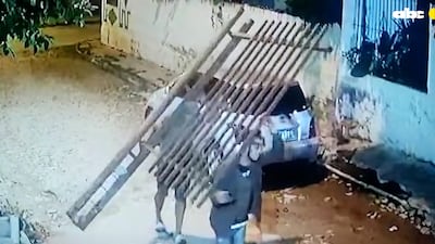 Roban parte del portón del Jardín Botánico de Asunción.