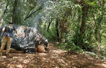 Alijo de marihuana detectado por la Senad en Amambay.