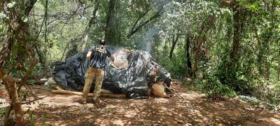 Alijo de marihuana detectado por la Senad en Amambay.