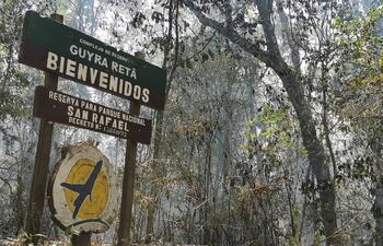 Reserva es consumida por incendios provocados por marihuaneros o predadores de bosque.