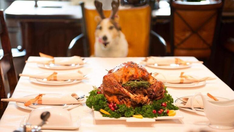 Los pavos o carnes con relleno de cebolla, puerro, cebolletas o ajo escóndelo de tus perros. Estos alimentos pueden causarle una gastroenteritis grave e incluso ser tóxicos.