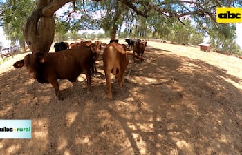 En 2030 el Chaco será un polo granelero