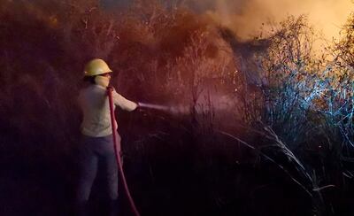 En las últimas semanas se han registrado tanto en el interior como en el área metropolitana numerosos casos de incendios.