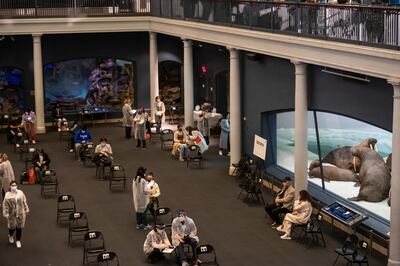 Uno de los puntos de vacunación en Nueva York, el Museo de historia natural prosigue la intensa campaña sanitaria.