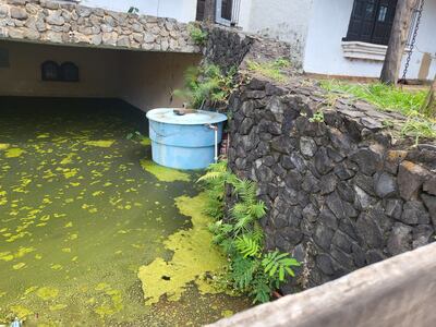 Esta vivienda está cubierta de agua hace tiempo, por lo que está llena de moho y larvas