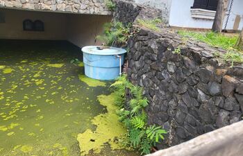 Esta vivienda está cubierta de agua hace tiempo, por lo que está llena de moho y larvas