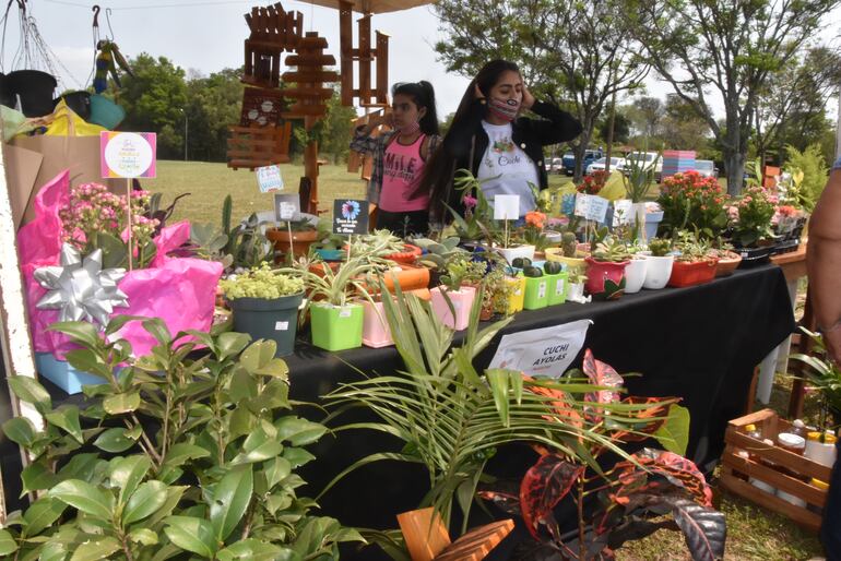 Exitosa feria de emprendedores en Ayolas