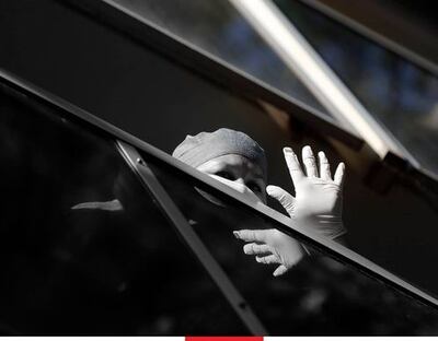 Más de 300 fotografías recibió la organización El Ojo Salvaje para el libro.