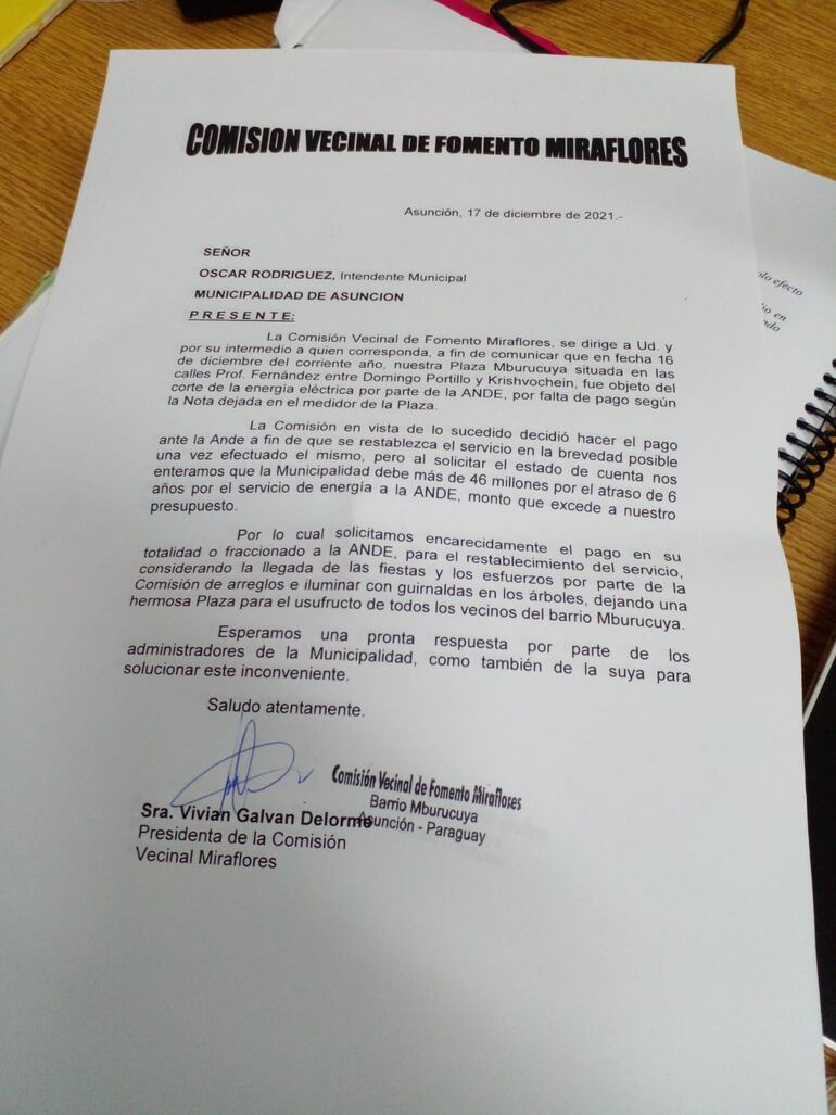 Nota presentada al intendente de Asunción. (gentileza).