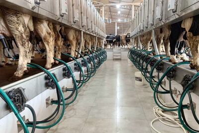 Logística y conocimiento para asesorar al productor lechero en la planificación, ejecución, puesta en marcha y seguimientos de un proyecto de tambo.