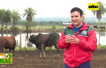 Abc Rural: Uso de maíz a grano entero en confinamiento