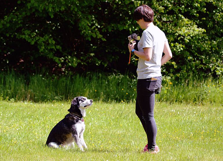 Nadine Lange entrenando a su perro Oskar.