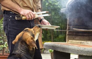Además de ser altas en grasa, al ser saladas, las carnes pueden crearles dolores estomacales y otras complicaciones.