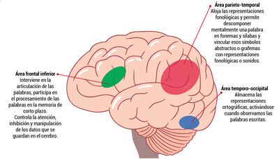 Dificultades específicas de aprendizaje