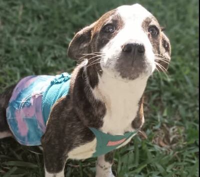 /pf/resources/images/abc-placeholder.png?d=2394