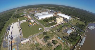 Las industrias aceiteras fueron muy perjudicadas con la reducción de la cosecha nacional de soja, que cayó en cerca del 60% sobre el volumen esperado y se proyecta que dejen de operar durante mayo y junio, por falta de materia prima.