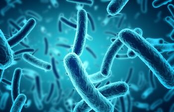 La bacteria más grande, visible al ojo, desafía principios de la biología.