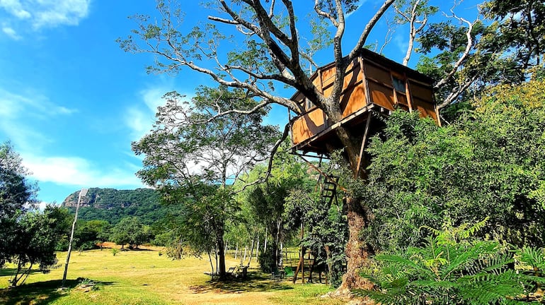 Una experiencia lúdica de ensueño a la altura de las copas de árboles.