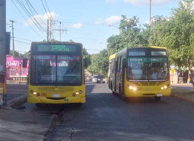 Choferes de dos empresas de transporte están en huelga.