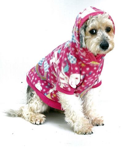 Para nuestras amadas mascotas