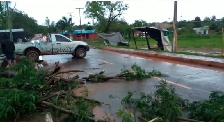 Las calles de Santaní están llenas de ramas de árboles destrozadas por los fuertes vientos