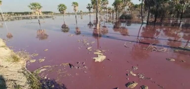 La nueva denuncia realizada contra la empresa procesadora de cuero vacuno por supuesto procesamiento ilícito de desechos industriales