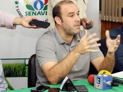 El titular del Senave, Ing. Agr. Rodrigo González. (Archivo)