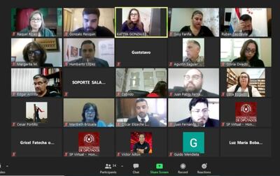 A través de Zoom, representantes del sector cultural se reunieron con los legisladores del FPCI.