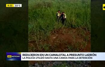 Redujeron en un camalotal a presunto ladrón