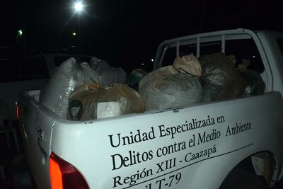 La carga de marihuana requisada de una vivienda de San Gabriel de Tavaí.