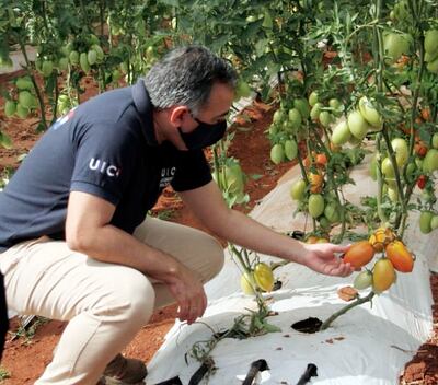 El ministro Emilio Fúster visitó días atrás varias zonas hortícolas.