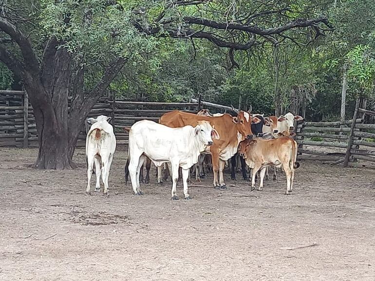 /pf/resources/images/abc-placeholder.png?d=2399