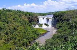 Los Saltos del Monday están rodeados de una exuberante vegetación, incluyendo un remanente de la mata atlántica.