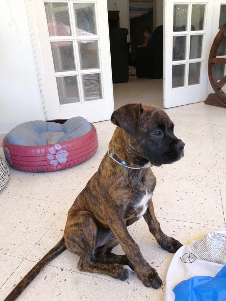 /pf/resources/images/abc-placeholder.png?d=2394