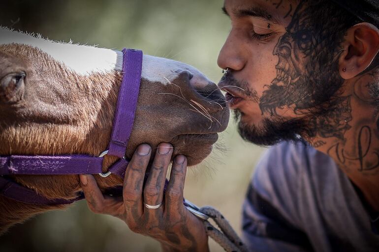 Jeremías González, colaborador del hogar de animales Aprani, cuida de un equino en Moreno (Argentina).