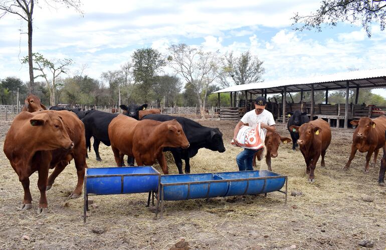 Ser aun más eficientes es el camino que debe tomar el productor para no entrar en pérdidas.