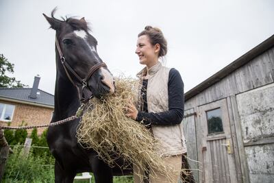 Un caballo deportivo de 600 kilogramos requiere de entre 9 y 12 kilogramos de heno de alta calidad por día.