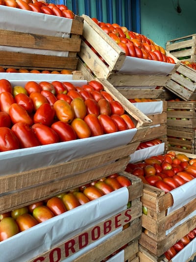 El tomate ya sería comercializado a G. 20.000 para este fin de semana, anuncian los comerciantes.