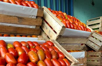 El tomate ya sería comercializado a G. 20.000 para este fin de semana, anuncian los comerciantes.