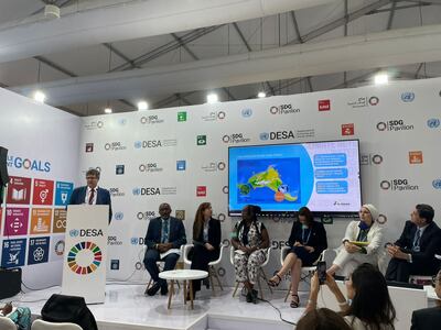 María Antonia Gwynn, miembro del Consejo de Administración, participó del evento paralelo de COP 27.