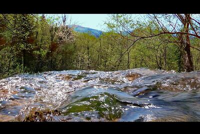 Imagen de la película “Señores del agua” que formará parte del Science Film Festival, que desde hoy ofrecerá 20 producciones de diversos países.