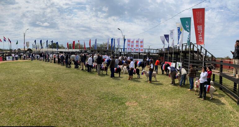 El sector ganadero mostrò nuevamente su potencial en la presente ediciòn de la Expo Norte.