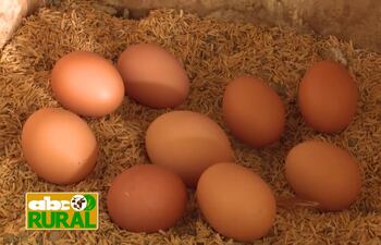 Abc Rural: Importancia de la buena presentación de los huevos