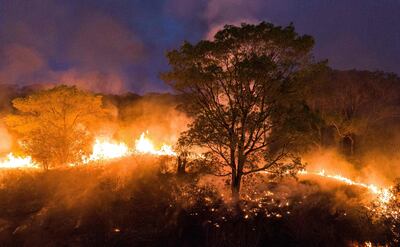Imagen de uno de los incendios que asolan la zona del Pantanal, en la parte del territorio brasileño.