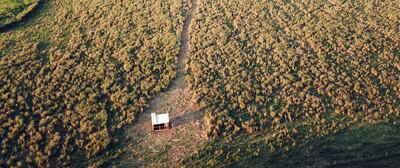 Un caso de invasión en Caazapá que afecta a productores ganadero según denuncia la ARP.