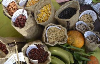 Una gran Feria Nacional de Semillas Nativas se podrá disfrutar y participar en la Plaza de la Democracia. El evento es para todo el público en general.