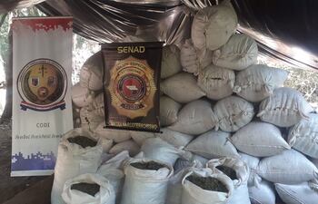 Campamento narco hallado en la colonia Estrella, departamento de Amambay.