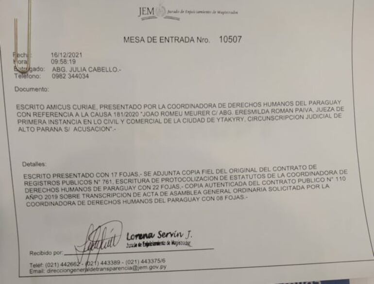 Documento del Amicus Curie. (gentileza).